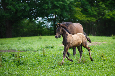 Similar image 8354697