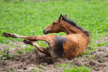 Similar image 8354700