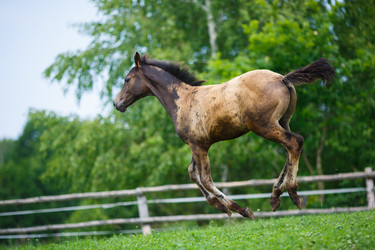 Similar image 8354712