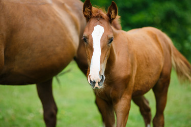 Similar image 8354715