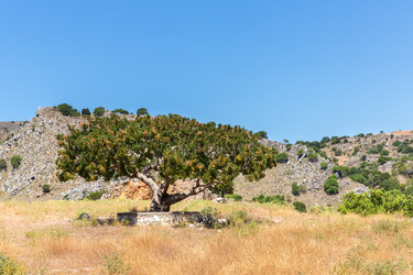 Similar image 8354735