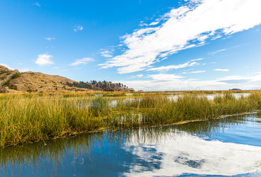 Similar image 8354760