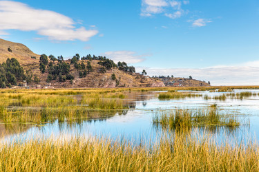 Similar image 8354764