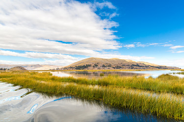 Similar image 8354766