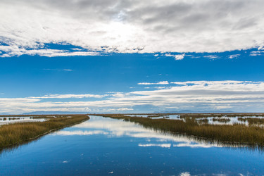 Similar image 8354773