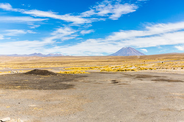 Similar image 8354793