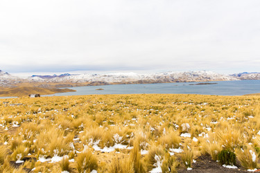 Similar image 8354797