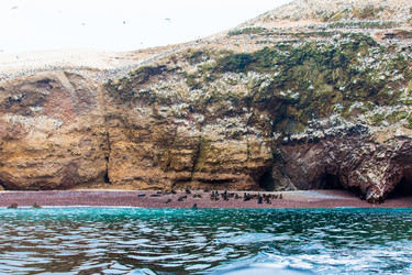 Similar image 8354804