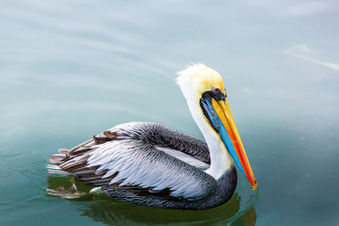 Similar image 8354805