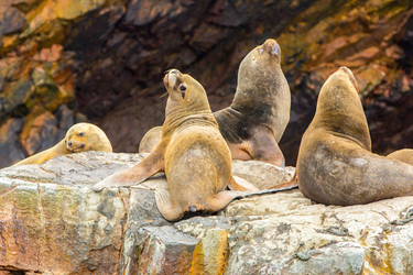 Similar image 8354808