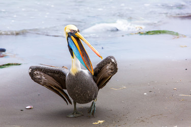 Similar image 8354821