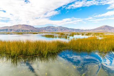 Similar image 8354822