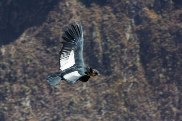 Similar image 8354827