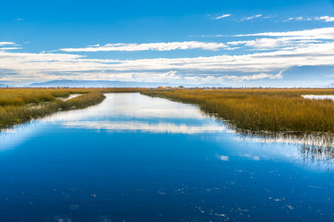 Similar image 8354843