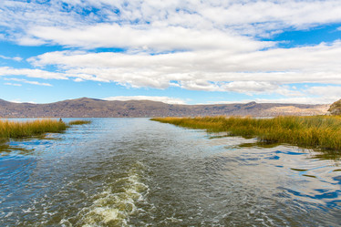 Similar image 8354844