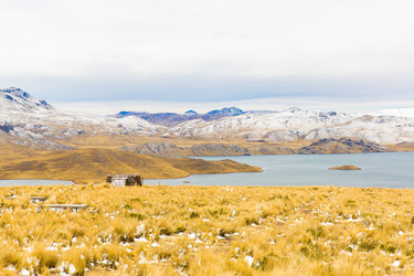 Similar image 8354883