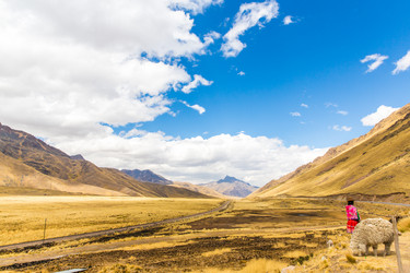 Similar image 8354886