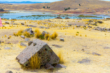 Similar image 8354899