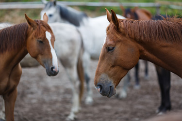 Similar image 8355035