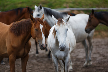 Similar image 8355036