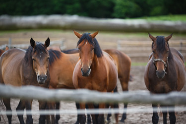 Similar image 8355037