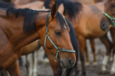 Similar image 8355040