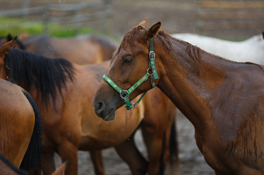 Similar image 8355041