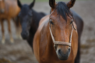 Similar image 8355042