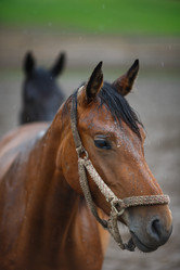 Similar image 8355044