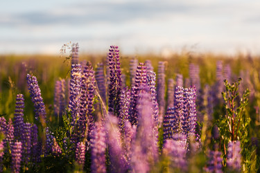 Similar image 8355045