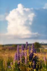 Similar image 8355046