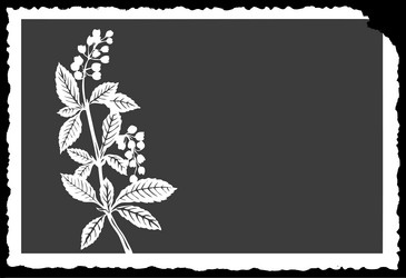 Similar image 8355080