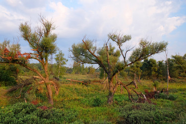 Similar image 8355123