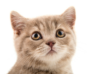 Similar image 8355186