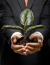 Similar image 8355195