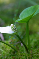 Similar image 8355334