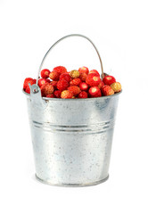 Similar image 8355336