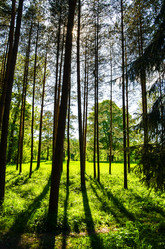 Similar image 8355338