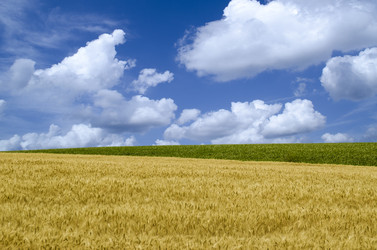 Similar image 8355342