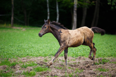 Similar image 8355401