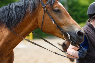 Similar image 8355402