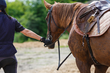 Similar image 8355403