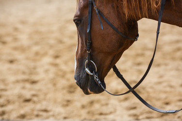 Similar image 8355404