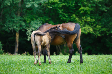 Similar image 8355410