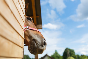 Similar image 8355415