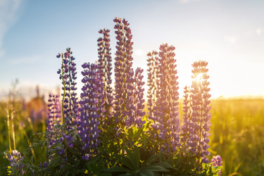 Similar image 8355424