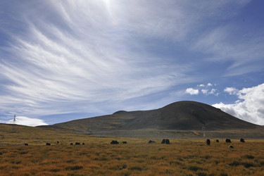 Similar image 8355873