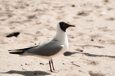 Similar image 8355974