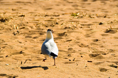 Similar image 8355975