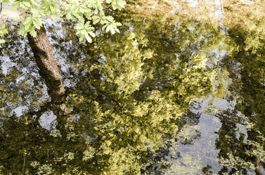 Similar image 8355976